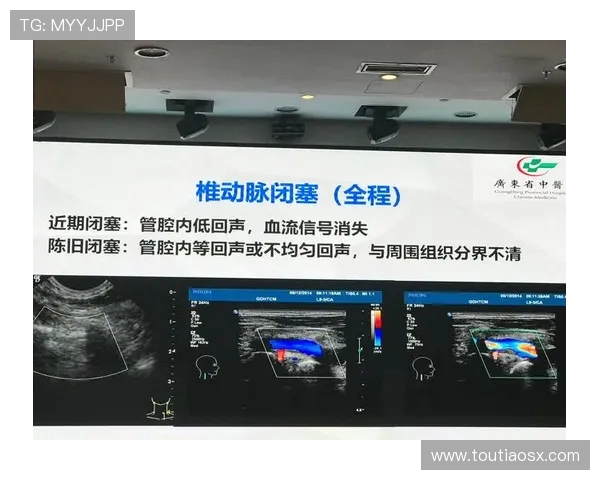 哈肯与哈马比的对决分析及双方近期状态评估